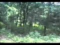 el terrero y el campo 4 en colima 1998 part 1