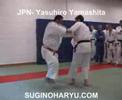 O soto gari O soto gari