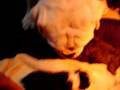 Annies little girl 002