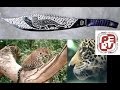 Ver Video