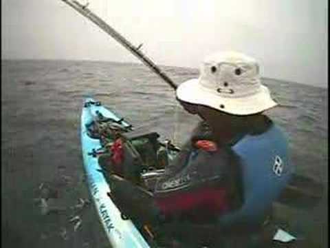 Mako Shark caught on Kayak released