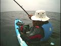 Mako Shark caught on Kayak released Mako Shark caught on Kayak released