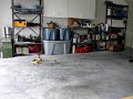 Esky Honey Bee King v2 Helicopter 3900kv 10t Pinion Telebee.