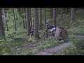 Hollerberg Singletrail