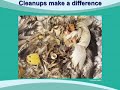 International Cleanup Day - Get Involved