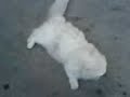 so lovely, so funny, so crazy...:P