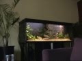 My new 3d background for my aquarium!