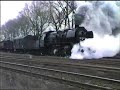 50 3556 in Blumenberg 50 3556 in Blumenberg