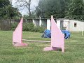 agility závody v Lounech