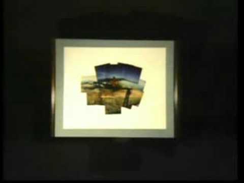 Guarda il video