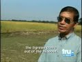 Tiger tries to attack Helicopter & Attacks man on Elephant