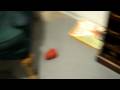 videos de Gertie