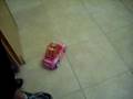 videos de My hamster in a race car!