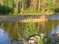 Barriere River Barriere River