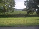 apis potong rumput di depan umah, di wales uk. semase bulan ramadhan..huhuhu