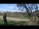 Cutting 20M Oak Cutting 20M Oak