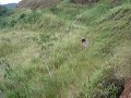 AQUI EM MARESIAS NĂO SÓ SE DROPA EM ONDAS MAIS NO MORRO TAMB AQUI EM MARESIAS NĂO SÓ SE DROPA EM ONDAS MAIS NO MORRO TAMB