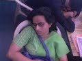 Sleeping Cats of GIM