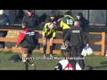 Ivel Barbarians Christmas Moose Elwyn White