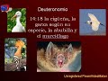 Biología Bíblica 3 - Ornitología para Heisenberg