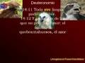 Biología Bíblica 3 - Ornitología para Heisenberg