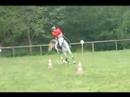 trec st symphorien