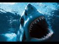 Great White Shark - Get Up [Tribute] (HQ)
