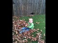 Corbin playing