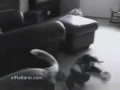 Ni�o jodido