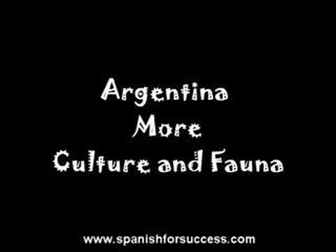 how to adjust after study abroad