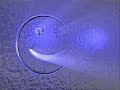 R.F.T.R. - extrasyn (house) R.F.T.R. - extrasyn (house)