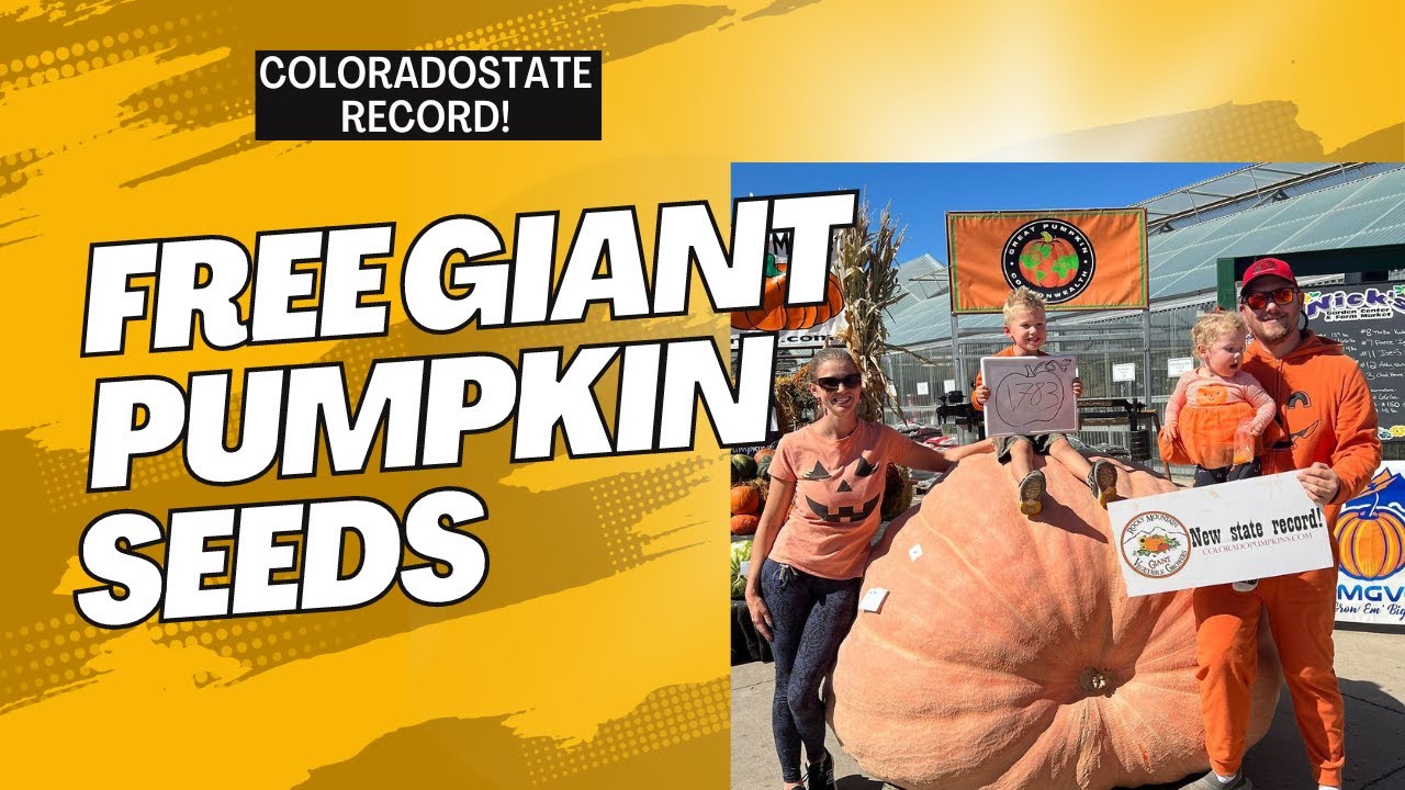 FREE GIANT PUMPKIN SEEDS 2022