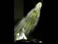 lo mejor de tiesto