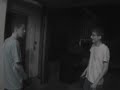 The Rise and Fall of Seymor Nakedkids