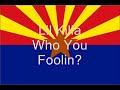 We Fly High remix(who you foolin)