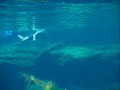 Riviera Maya 2005 video 10