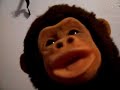 lol monkey needs a soul mate lol monkey needs a soul mate
