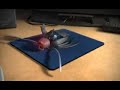 Spider Mouse