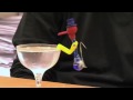 Drinking Bird - Sixty Symbols