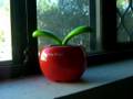 videos de My first flip flap