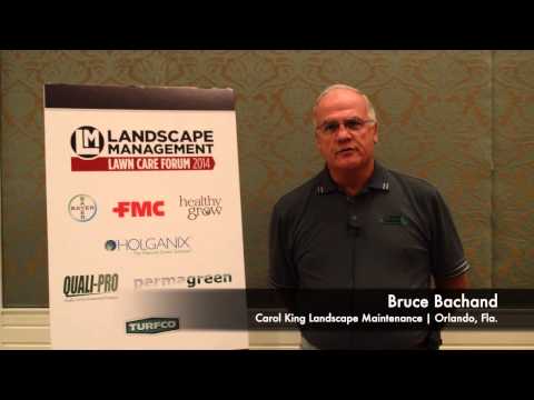 how to care for lm grass