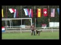 videos de Dogfrisbee Eurpian Championship 2008