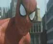 Heroes-spiderman-hul
