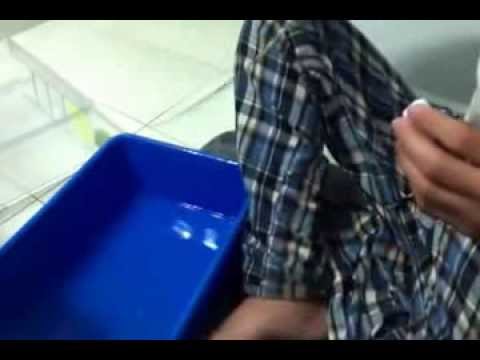 how to treat eye infection