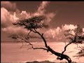 Thåström - Höghus sång