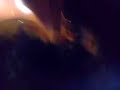 la bala fin de a�o