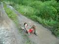 rolling in the mud !