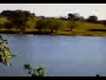 uma conversa descontra�da reune ti�o carreiro com tonico e tinoco e, at� cantaram um verso de uma moda de viola e a cuica t� roncando.