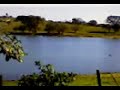 uma conversa descontra�da reune ti�o carreiro com tonico e tinoco e, at� cantaram um verso de uma moda de viola e a cuica t� roncando.