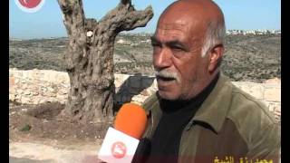 تقرير البناء القديم- قلقيلية - سنيريا-Qalqilia